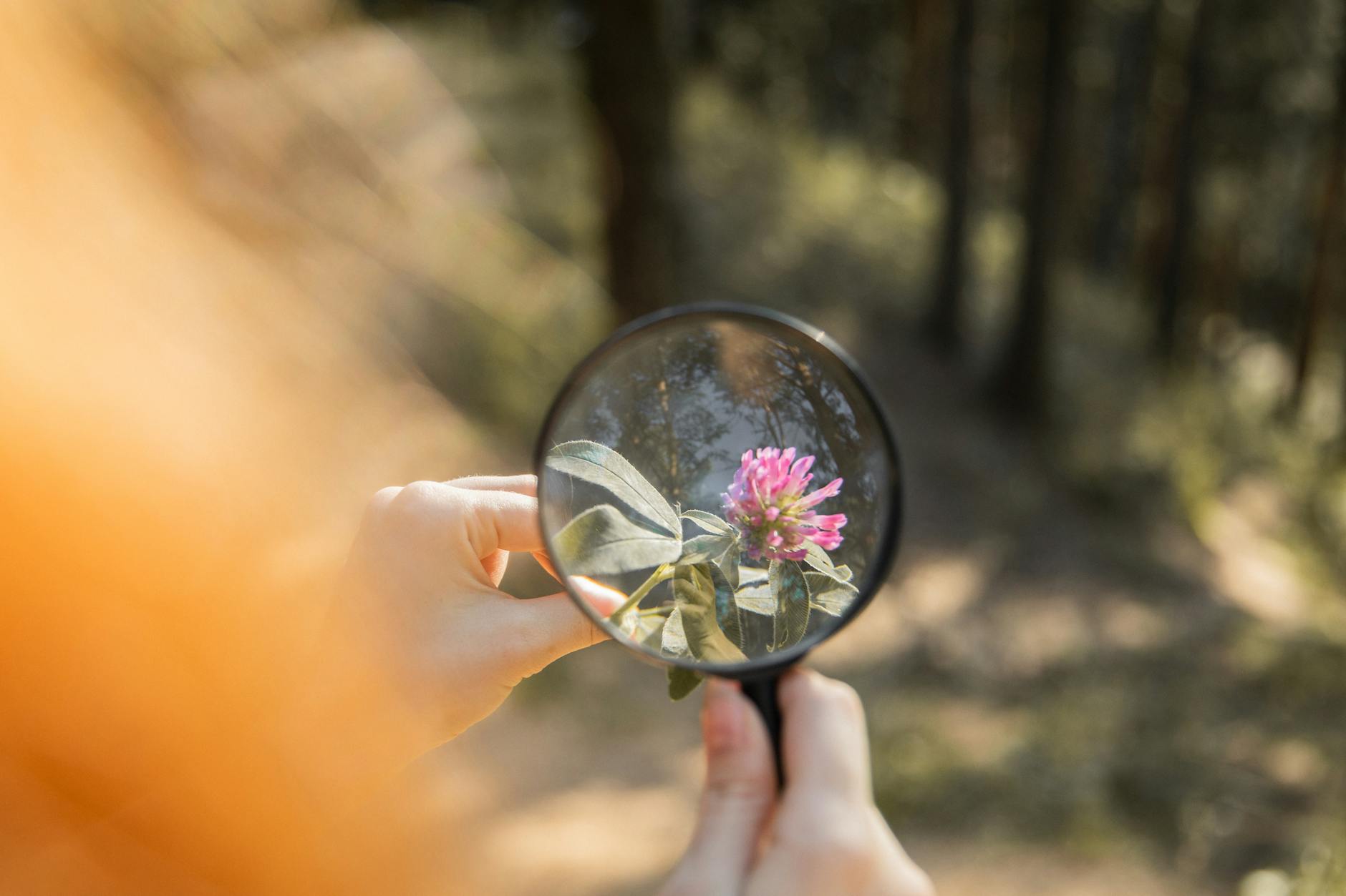 Hogan Assessments: Driving Leadership Growth and Results